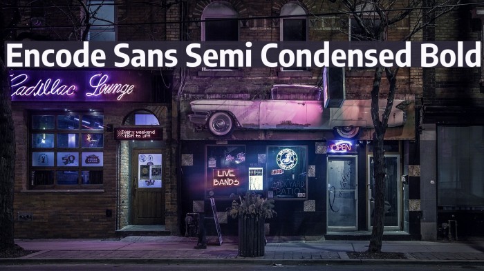 Encode Sans Semi Condensed Bold Font examples
