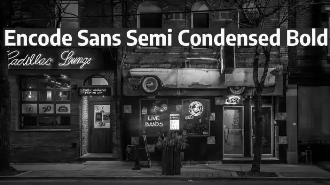 Encode Sans Semi Condensed Bold Example 2