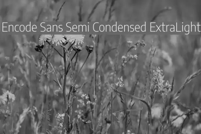Encode Sans Semi Condensed ExtraLight Font examples