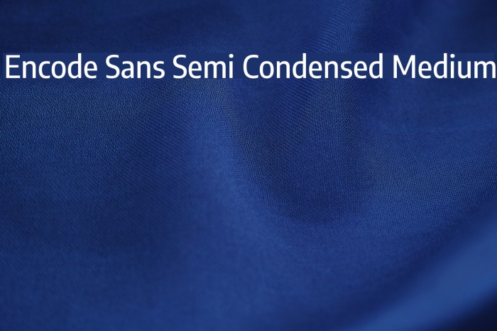 Encode Sans Semi Condensed Medium Font examples