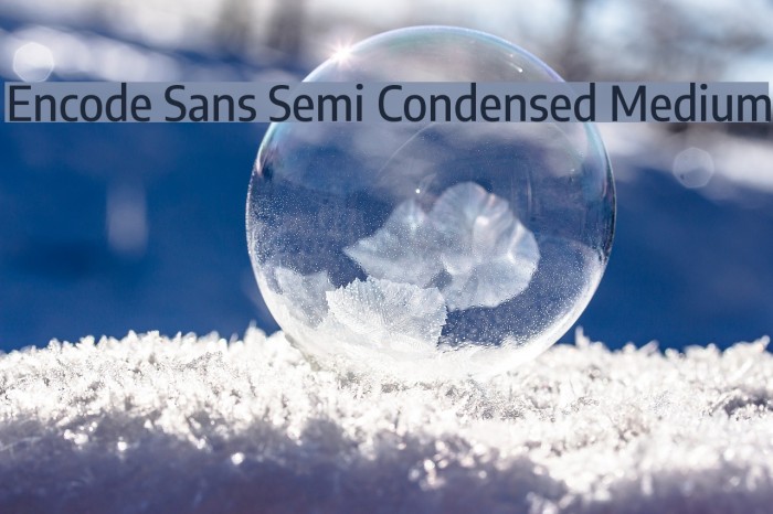 Encode Sans Semi Condensed Medium Font examples