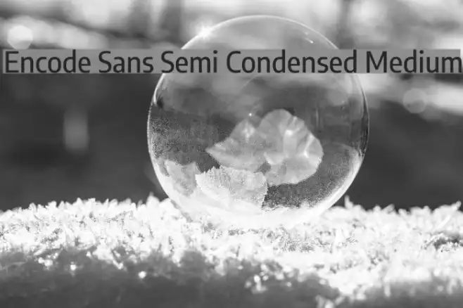 Encode Sans Semi Condensed Medium Example 2