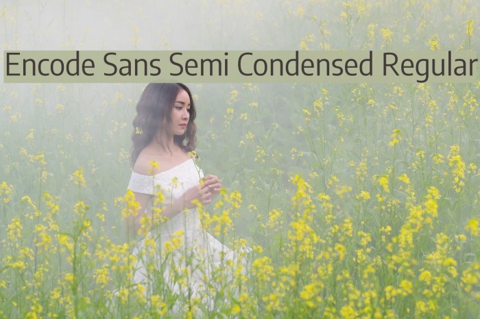 Encode Sans Semi Condensed Regular Font examples
