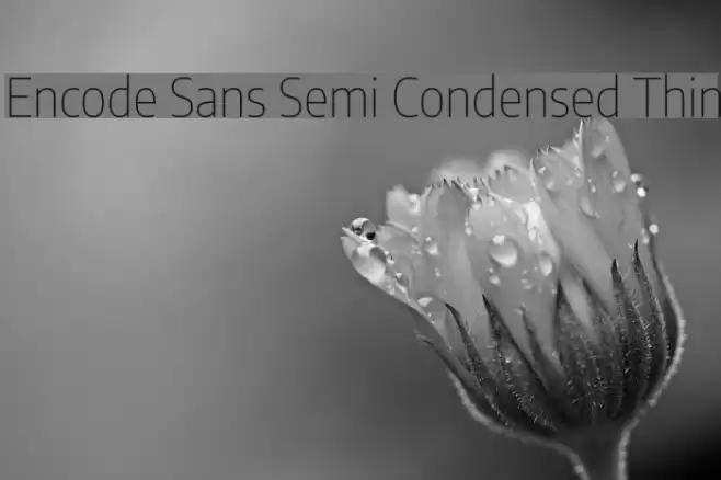 Encode Sans Semi Condensed Thin Schriftart examples