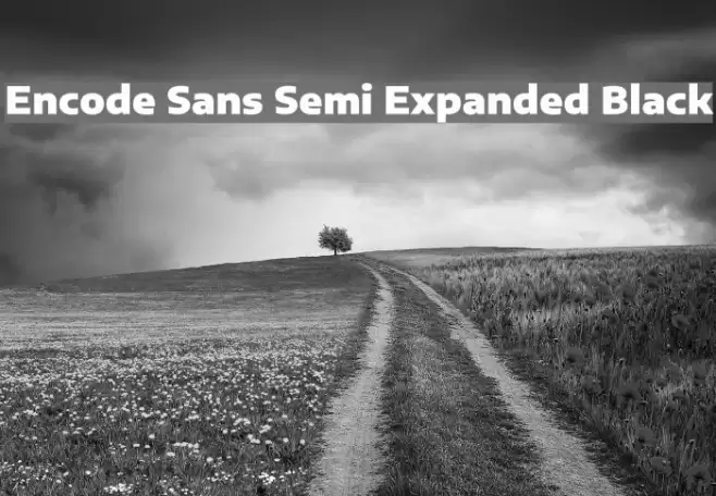 Encode Sans Semi Expanded Black Font examples