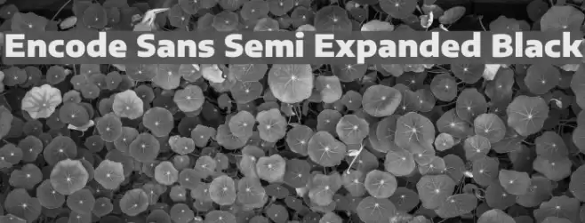 Encode Sans Semi Expanded Black Font examples