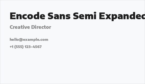 Encode Sans Semi Expanded Black Business Card
