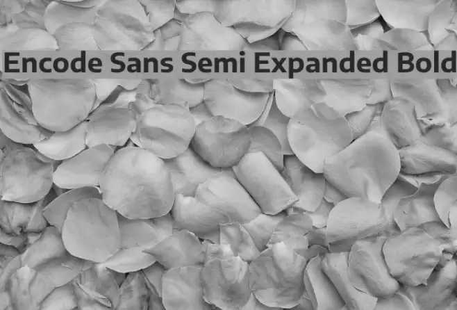 Encode Sans Semi Expanded Bold Example 1