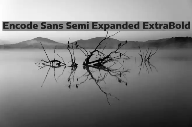 Encode Sans Semi Expanded ExtraBold Font examples