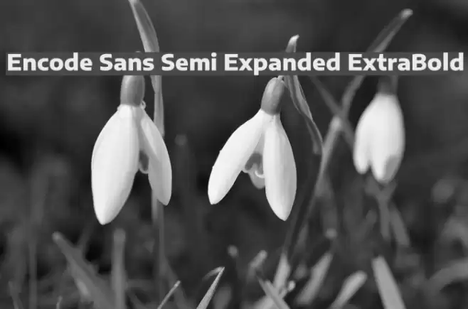 Encode Sans Semi Expanded ExtraBold Font examples
