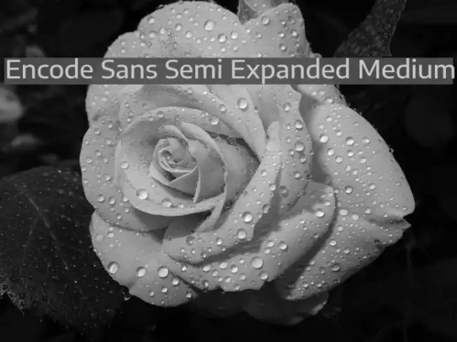 Encode Sans Semi Expanded Medium Example 2