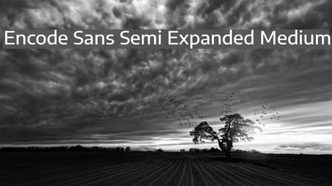 Encode Sans Semi Expanded Medium Example 3