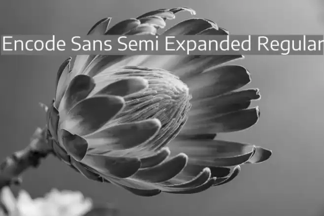 Encode Sans Semi Expanded Regular Font examples