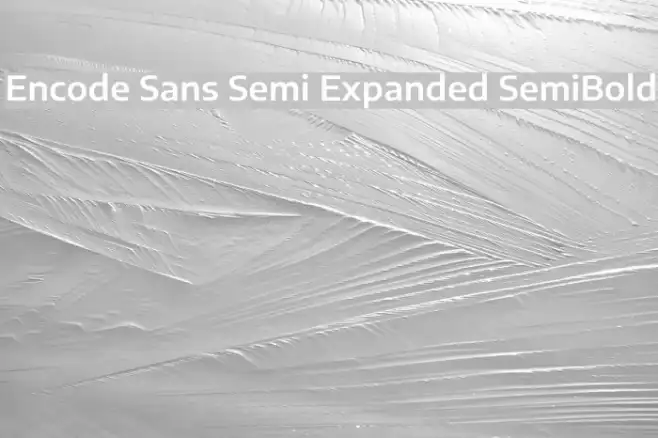 Encode Sans Semi Expanded SemiBold Example 1