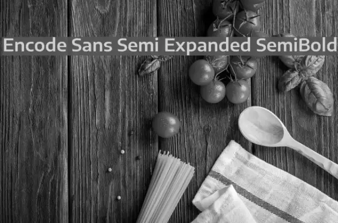 Encode Sans Semi Expanded SemiBold Example 3
