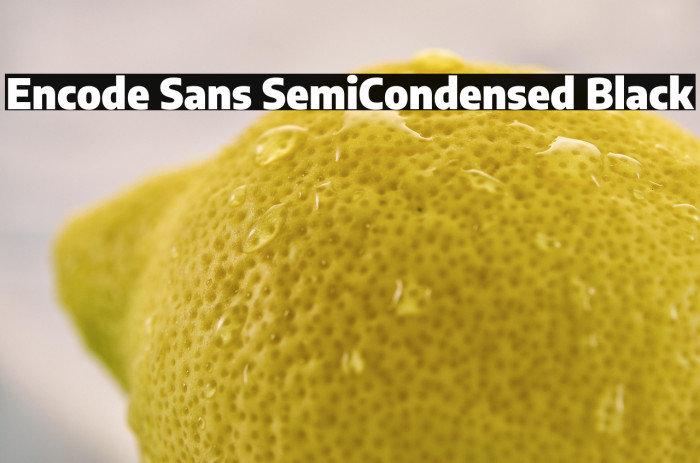 Encode Sans SemiCondensed Black Example 1