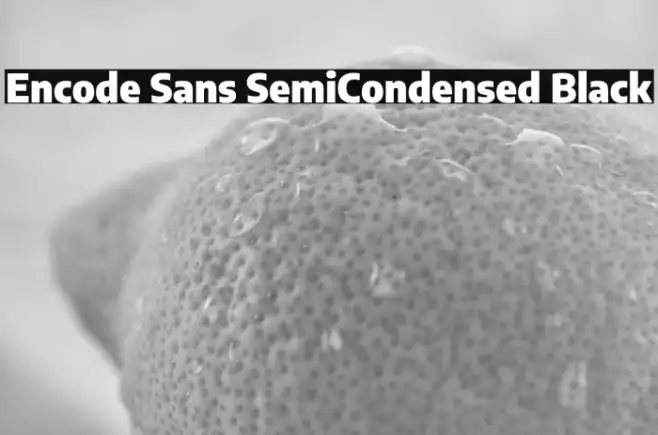 Encode Sans SemiCondensed Black Example 1