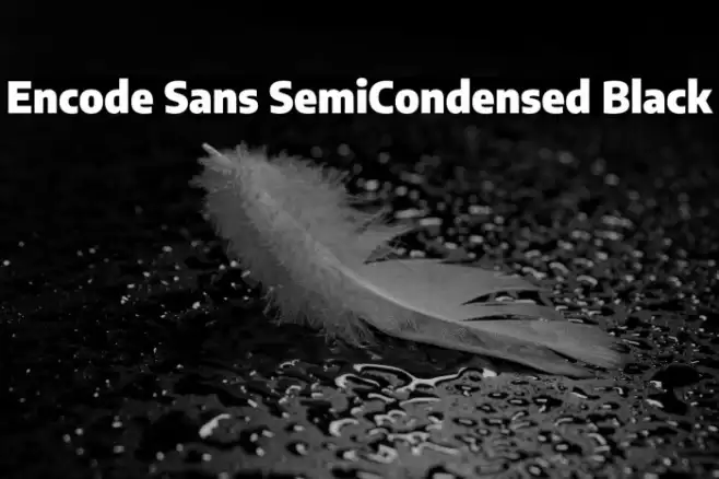 Encode Sans SemiCondensed Black Example 2