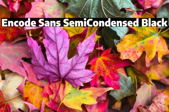 Encode Sans SemiCondensed Black Example 3