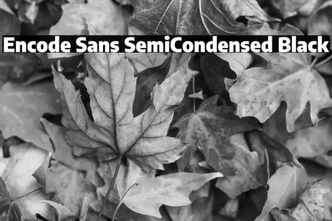 Encode Sans SemiCondensed Black Example 3