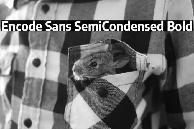 Encode Sans SemiCondensed Bold Font examples