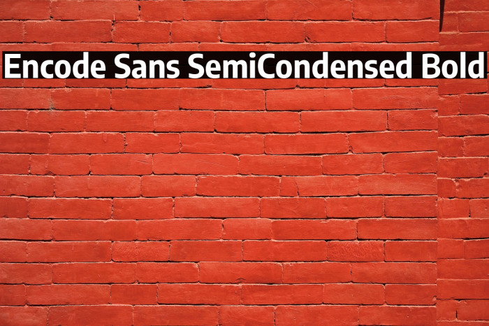 Encode Sans SemiCondensed Bold Example 3