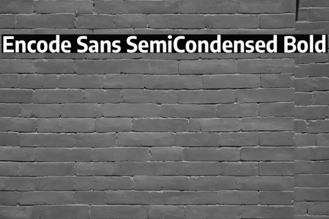 Encode Sans SemiCondensed Bold Font examples