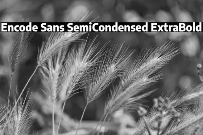 Encode Sans SemiCondensed ExtraBold Font examples