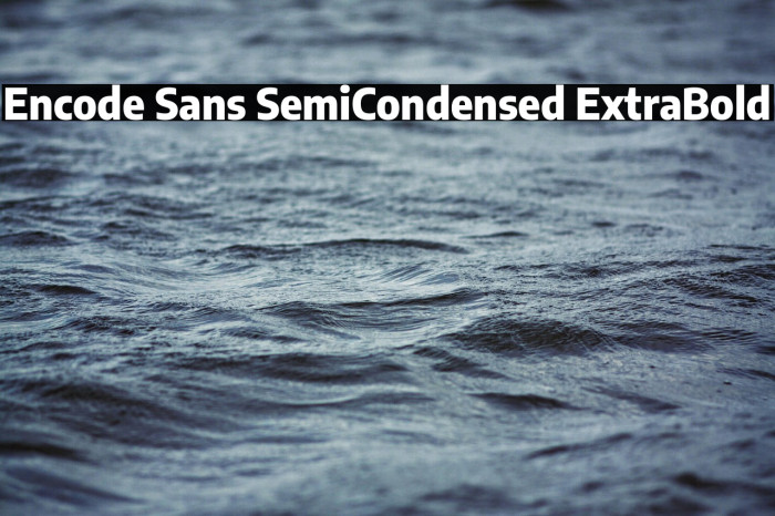 Encode Sans SemiCondensed ExtraBold Example 3