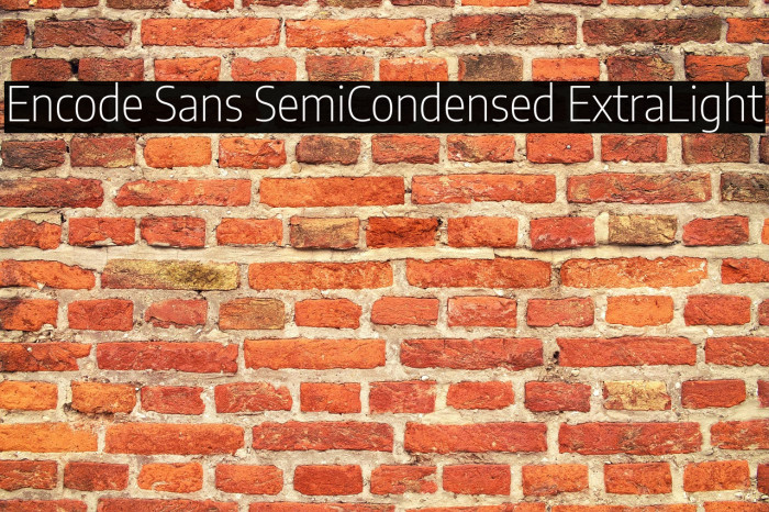 Encode Sans SemiCondensed ExtraLight Example 1