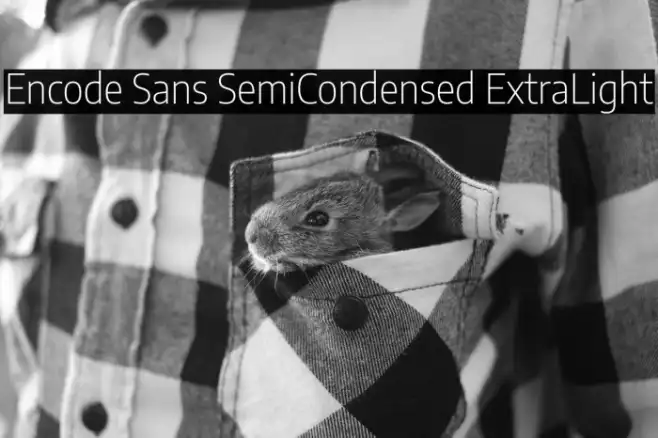 Encode Sans SemiCondensed ExtraLight Example 2