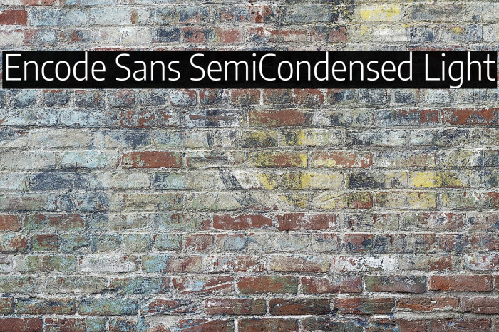Encode Sans SemiCondensed Light Example 1