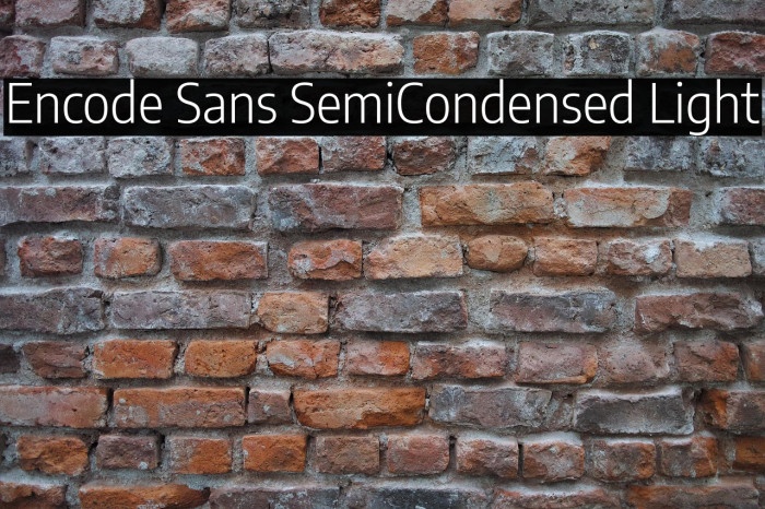 Encode Sans SemiCondensed Light Example 2