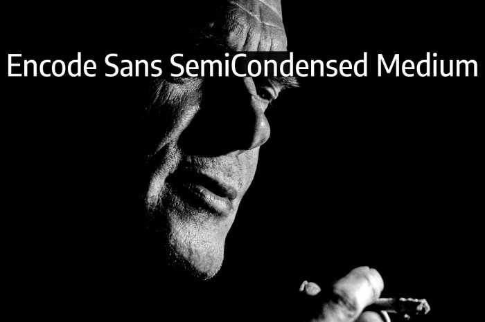 Encode Sans SemiCondensed Medium Example 1