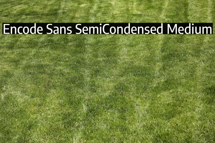 Encode Sans SemiCondensed Medium Example 2