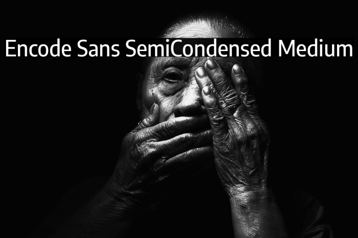 Encode Sans SemiCondensed Medium Example 3