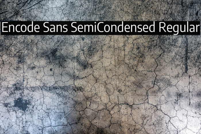 Encode Sans SemiCondensed Regular Example 1