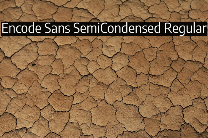 Encode Sans SemiCondensed Regular Example 2