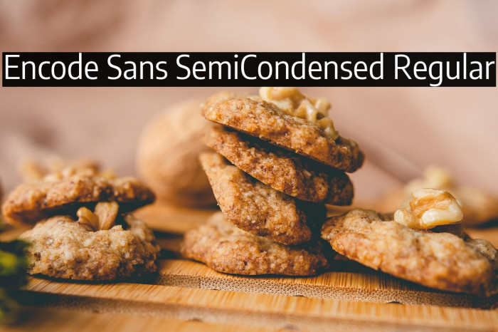 Encode Sans SemiCondensed Regular Example 3