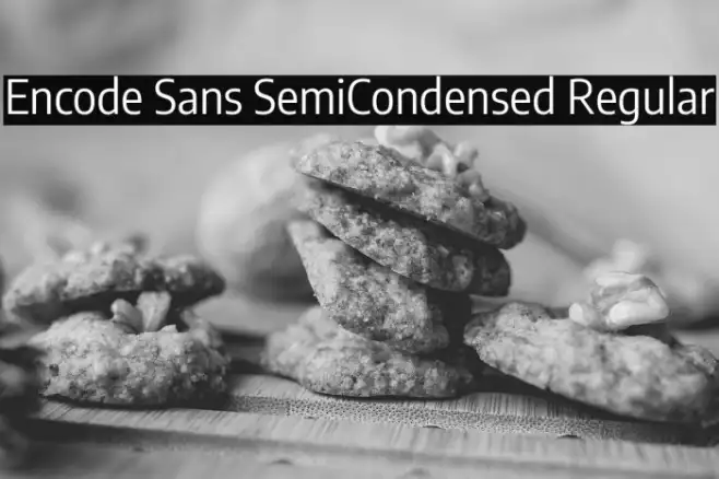Encode Sans SemiCondensed Regular Example 3