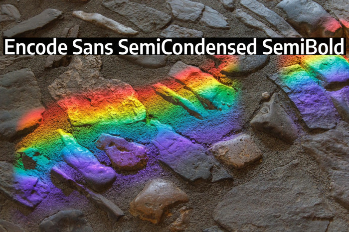 Encode Sans SemiCondensed SemiBold Example 1