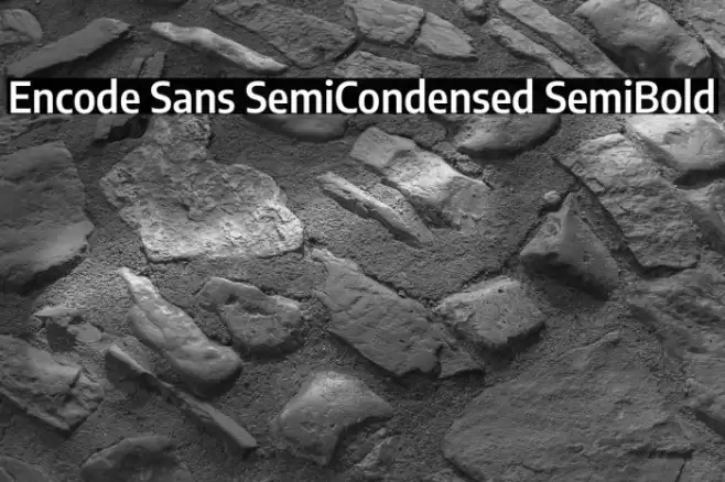 Encode Sans SemiCondensed SemiBold Font examples
