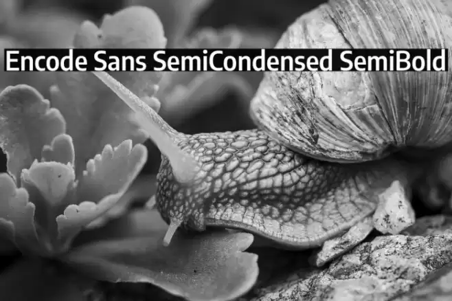 Encode Sans SemiCondensed SemiBold Font examples