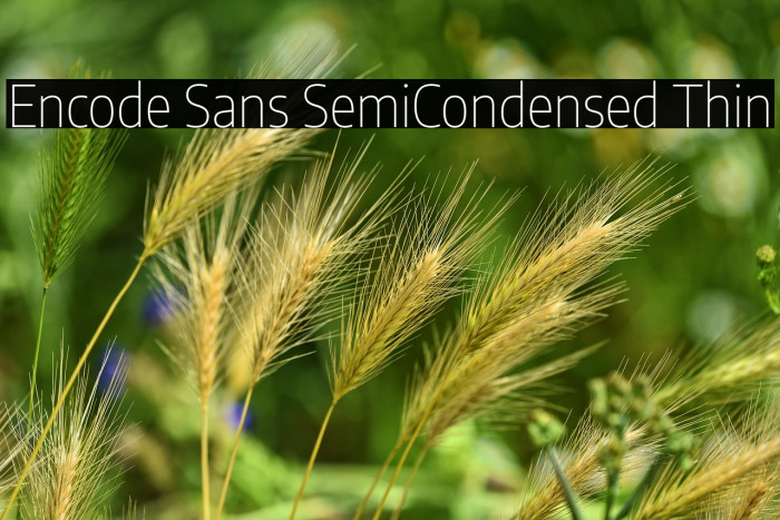 Encode Sans SemiCondensed Thin Example 2