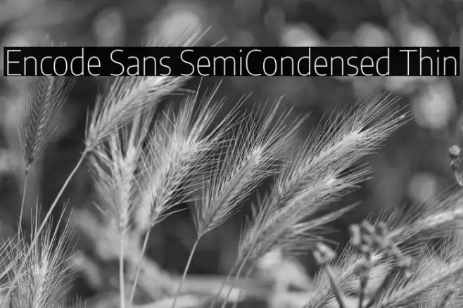 Encode Sans SemiCondensed Thin Example 2