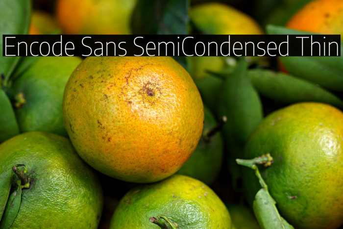 Encode Sans SemiCondensed Thin Example 3