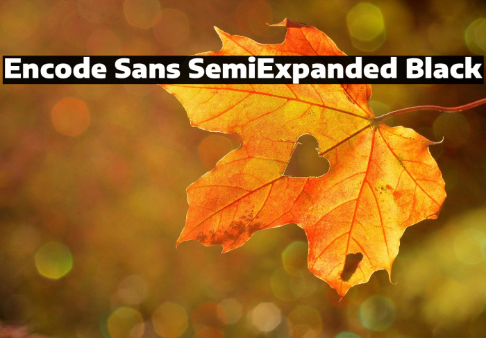 Encode Sans SemiExpanded Black Example 1
