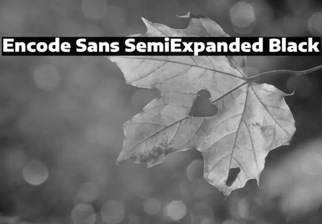 Encode Sans SemiExpanded Black Font examples