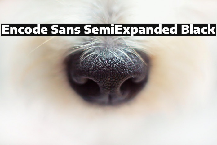 Encode Sans SemiExpanded Black Example 2