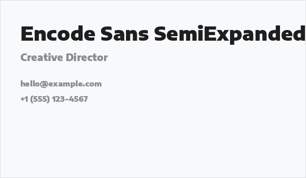 Encode Sans SemiExpanded Black Business Card